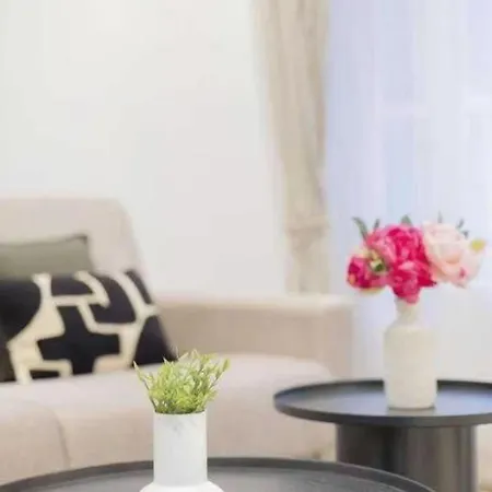 Elegant Flat - 17 - Brochant
